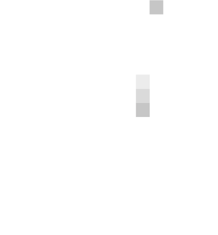 Pixel Solutions Piotr Garbuz — logo